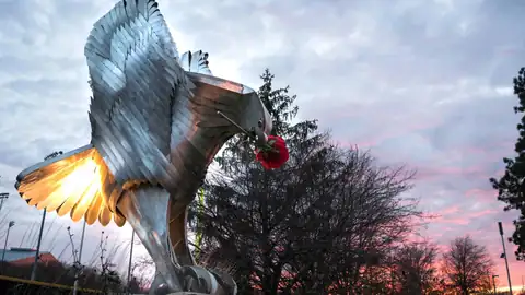 Silver hawk sculpture against a pink sunset sky