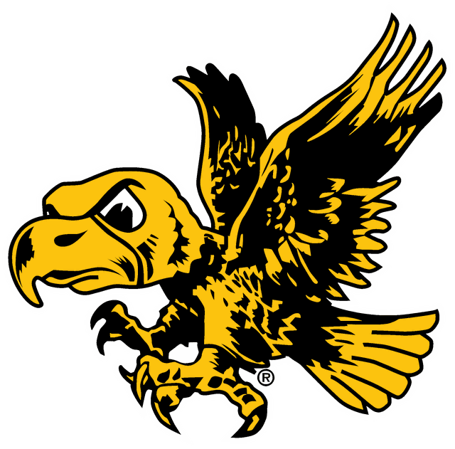 Flying Herky, the University of Iowa Hawkeyes mascot